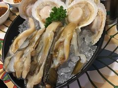 蛏子-莫小七火锅