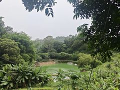 -天强农家菜馆