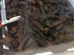 -都士牧人现烤牛肉干