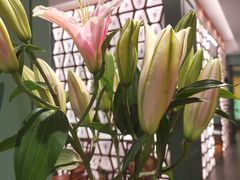 -南堂馆·新川菜(春熙路店)