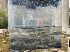 -路书奇炝锅绿豆面(万客隆店)