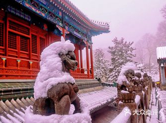 就喜欢这样的大雪漫天，下次的雪天还去戒台寺
