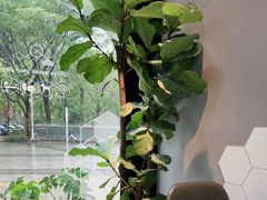 -Maxpoint Kitchen 西餐咖啡(乐峰广场店)
