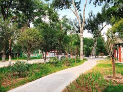 -莲湖公园