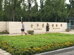 门面-金沙遗址博物馆