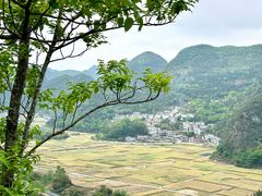 -万峰林风景区