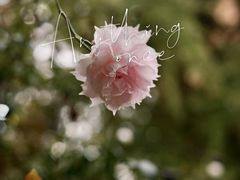 -秘密小花园(第三中学店)