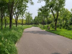-东郊湿地公园