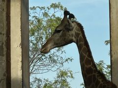 -石家庄市动物园