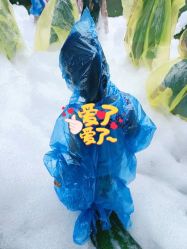-可可天空农场(中大店)