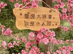 -北京凤凰岭