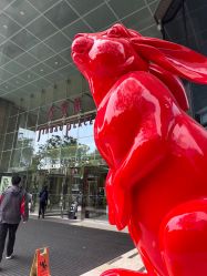 -JUVA欧华医美连锁
