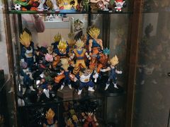-秦小阳手办店