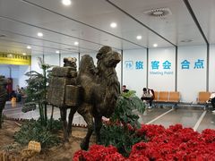 -银川河东国际机场