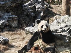 -杭州野生动物世界