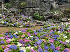 -梭布垭石林景区