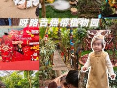 -呀路古热带植物园