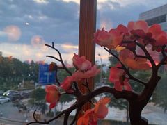 -鸟鹏烧鸟居酒屋(龙岗万科店)