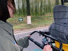 -黄海国家森林公园