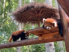 -北京野生动物园