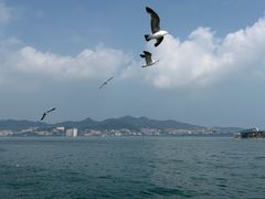 -刘公岛景区