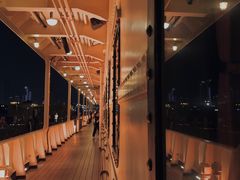 -武汉知音号