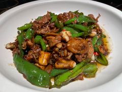 -佬肥猫(七宝宝龙店)