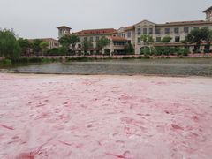 -歌斐颂巧克力小镇