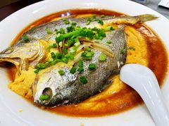 黃花魚蒸水蛋-华峰食馆(氹仔店)