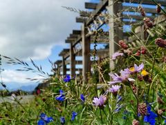 -白草畔自然风景区