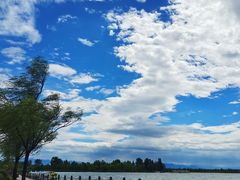 -野鸭湖国家湿地公园