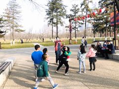 -缤纷鸟美术书法(建大校区)