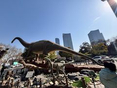 -陕西自然博物馆