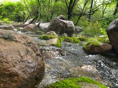 -玉渡山自然风景区