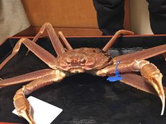 -蟹道乐(道顿堀本店)