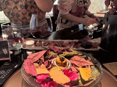 -地球美食剧场