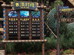 -哈尔滨波塞冬海底世界