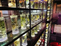 -广东中医药博物馆