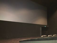 -中影国际影城(西溪印象城CINITYLED店)