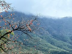 -塔川景区