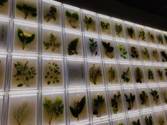 -广东中医药博物馆