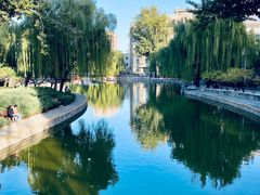-团结湖公园