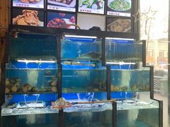 水产区-老东镇啤酒屋海鲜加工·蒸汽海鲜·海鲜烧烤(台东店)