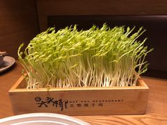 -大头椰·椰子鸡火锅(新梦店)