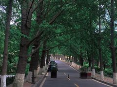 -八大关景区