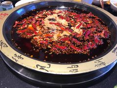 -一斗火锅·招财羊毛肚(北温泉九号店)