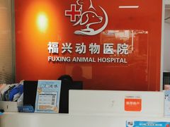 -瑞派福兴宠物医院犬猫全科·骨科·中西医结合(河东店)