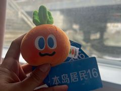 -硇洲岛旅游区