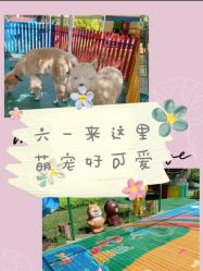 -萌宠亲子动物乐园(槐房万达店)