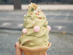 -奈良公园